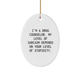 Drug Counselor Gifts, Funny Oval Ornament, Gifts from Friends for Drug Counselor, Christmas Unique Gifts with Inspirational Quote - Image 1
